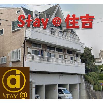 stay@ȡץ־ͭ⤵1.9Mʪ̿1