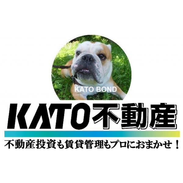 KATOư ĮıŹ KATO󥸥˥󥰥ӥμ̿